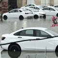Десятки новых LADA затопило у «Мегамага» в Ростове на стоянке дилера